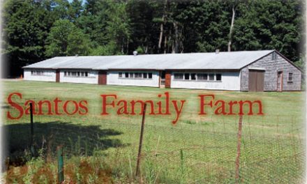 Santos Family Farm • Kingston