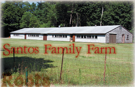 Santos Family Farm • Kingston