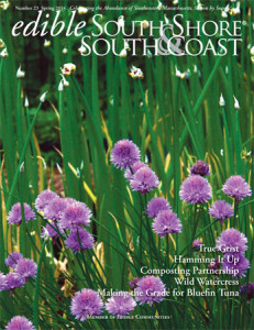 70678_EdibleSouth_Cover
