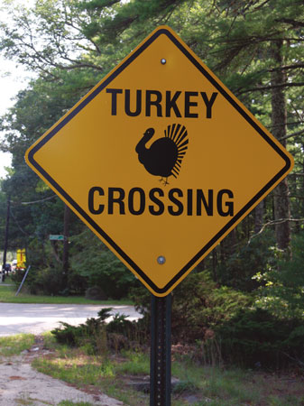 Turkey Crossing Sign