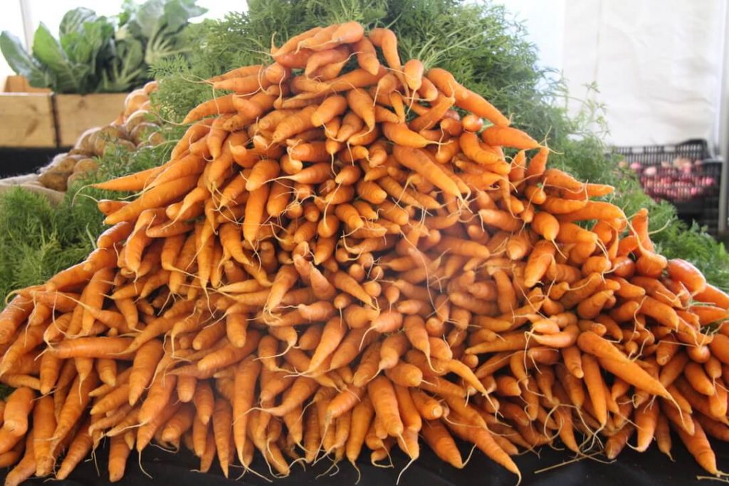 Pile of Carrots