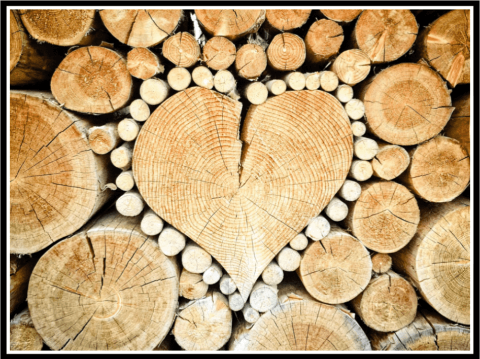 Heart in Wood Pile
