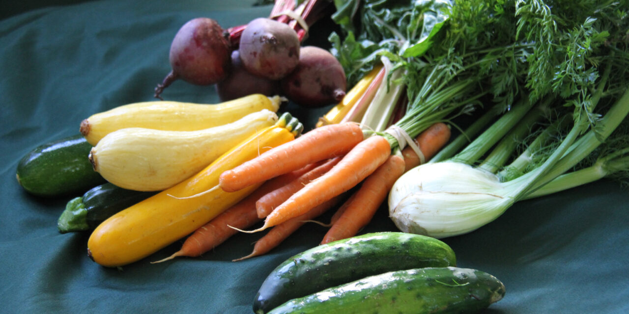 2021 Summer Outdoor Farmers’ Markets Day-By-Day in Southeastern Massachusetts