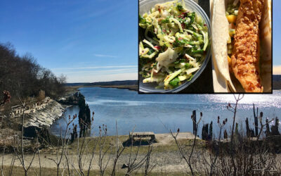 PICNIC LUNCHBREAK: Enjoying Takeout from The Rivershed in The Driftway Conservation Park, Scituate