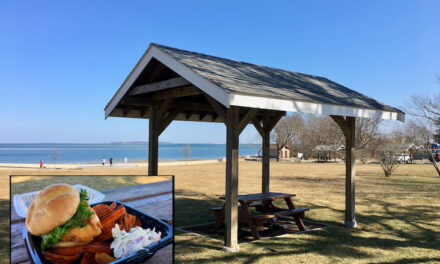 PICNIC LUNCHBREAK: ENJOYING TAKEOUT FROM WEST END GRILL AT KINGSTON’S GRAYS BEACH PARK