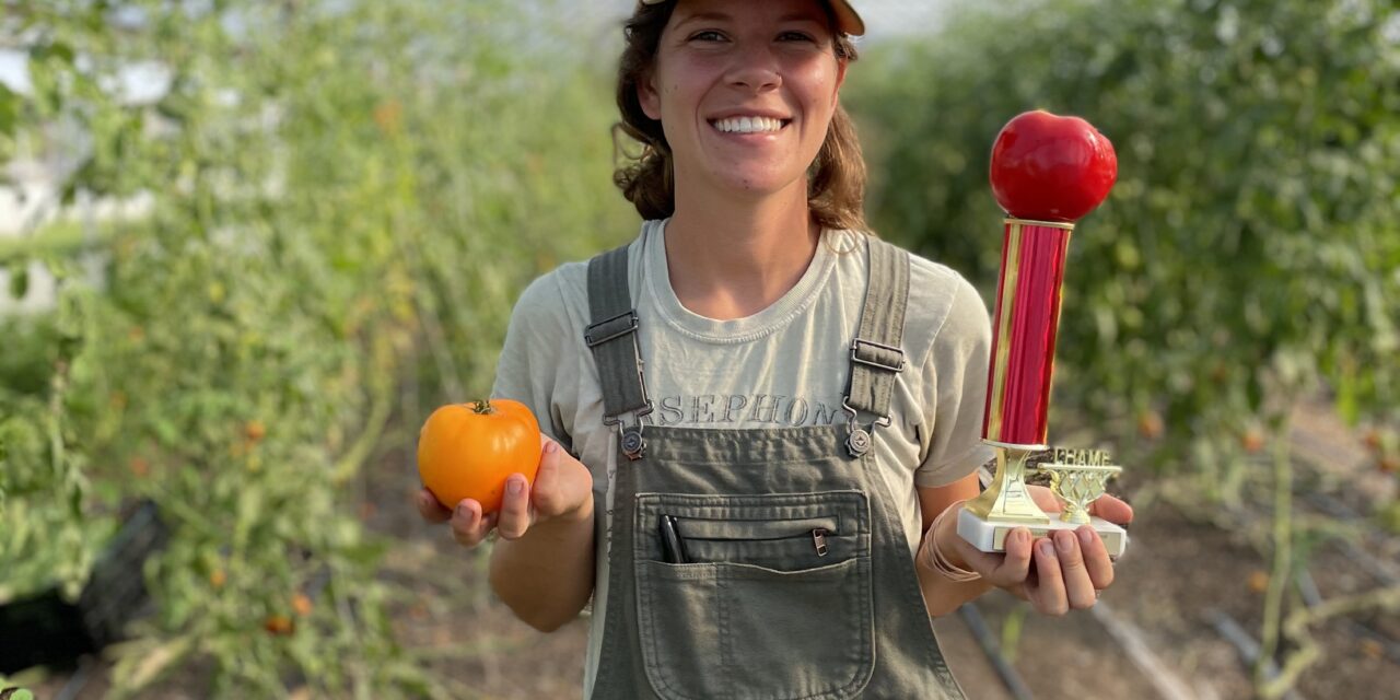 Freedom Food Farm Grows Award Winning Tomato – Raynham MA