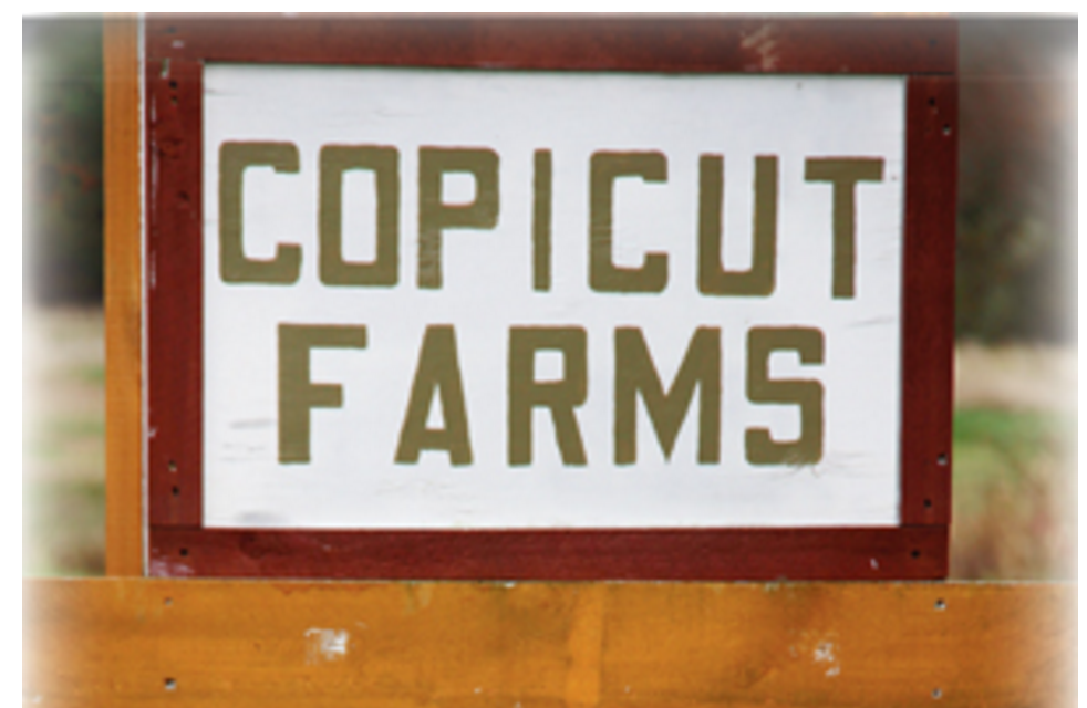 Copicut Farms