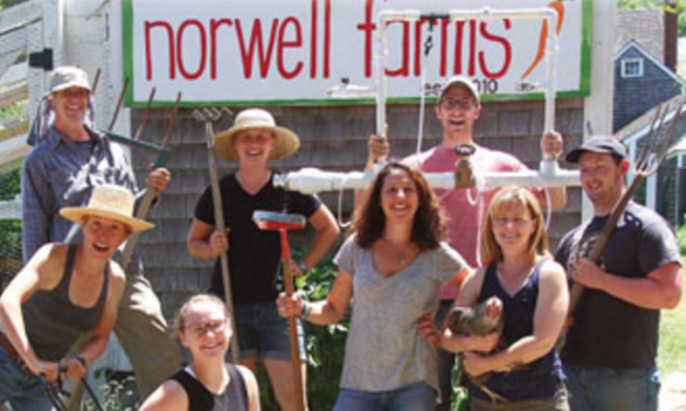 All Together Now : Norwell Farms